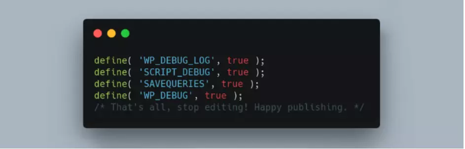 Image: Screenshot of the WP Debugging plugin
