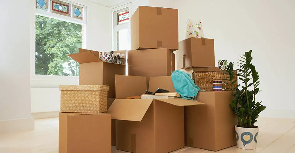Image: moving a WordPress domain to a new provider