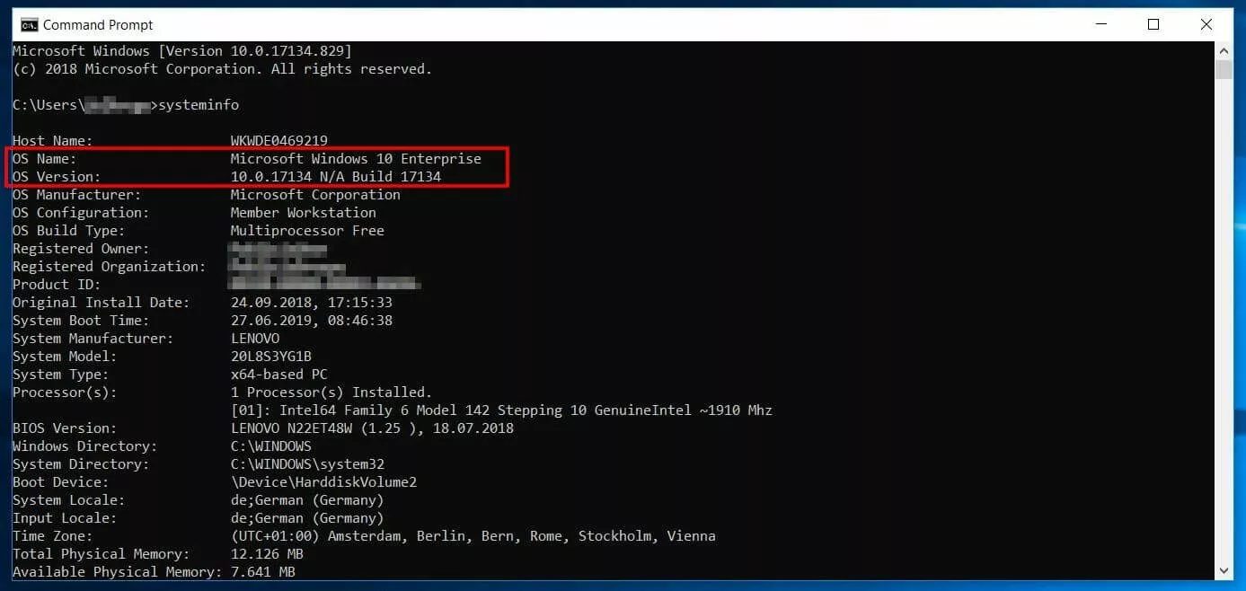 Image: Terminal output of the “systeminfo” command
